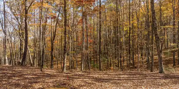 ANDERSON CREEK Tanager Trail, Ellijay GA 30536