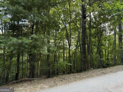 Lot 46 Fox Run Drive # 46, Blue Ridge GA 30513