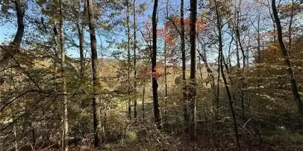 O'V Justus Road, Rabun Gap GA 30568