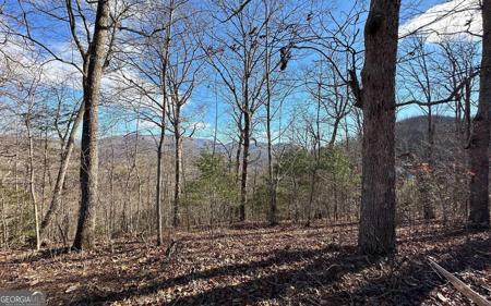 Lot 14 Clark Drive, Hiawassee GA 30546