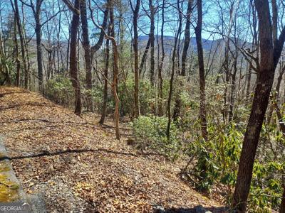 Lot 41 Pipetrack Gap Road, Scaly Mtn NC 28775