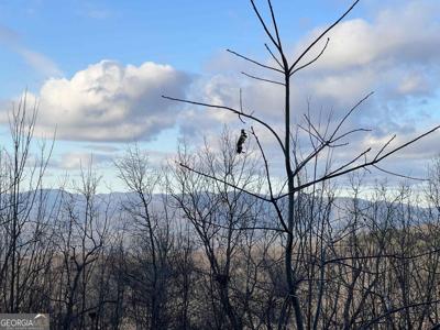 Daybreak Road, Cleveland GA 30528