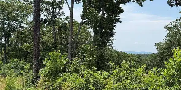Lot 93 Timberline Trail # 93, Talking Rock GA 30175