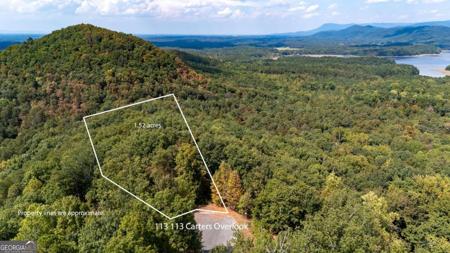 0 Carters Overlook