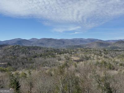 Mountain Lion Trail, Helen GA 30545