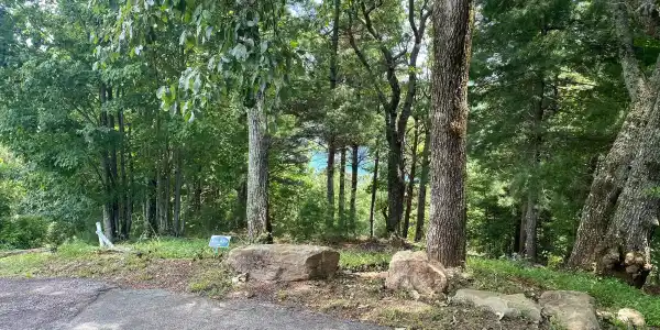 Lot 29 Lake Rabun Bluffs Drive, Lakemont GA 30552