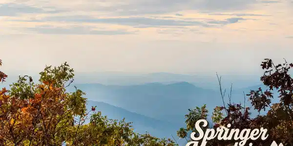 4 Parker Drive, Ellijay GA 30540