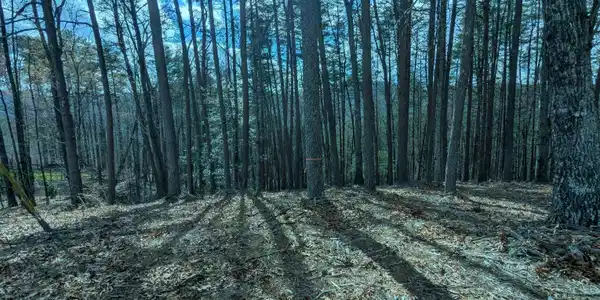 LT 30-31 Eagle Ridge Road, Dawsonville GA 30534