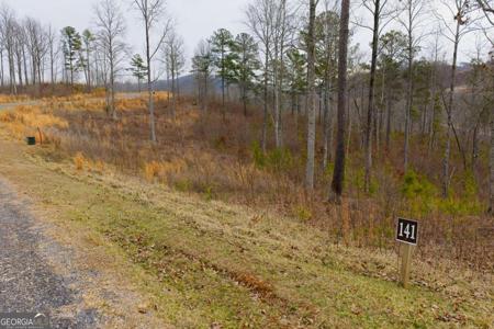 Lot 141 Twisted Oak Road, Talking Rock GA 30175