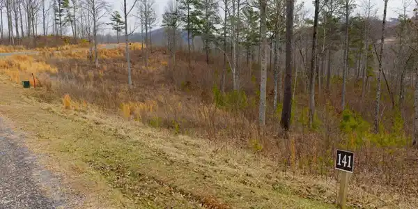 Lot 141 Twisted Oak Road, Talking Rock GA 30175