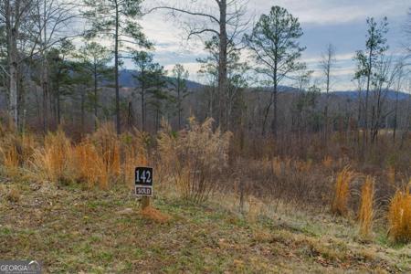 Lot 142 Twisted Oak Road, Talking Rock GA 30175