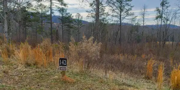 Lot 142 Twisted Oak Road, Talking Rock GA 30175