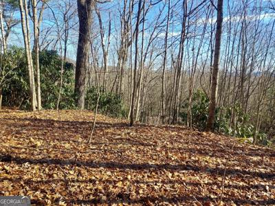 Lot 14 & 15 Honey Bear, Dillard GA 30537