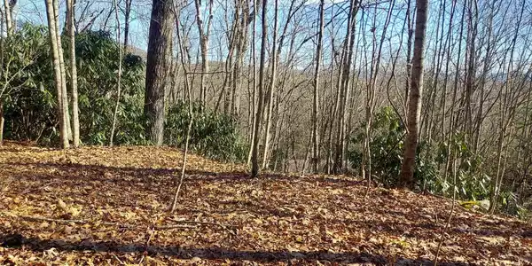 Lot 14 & 15 Honey Bear, Dillard GA 30537