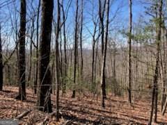 965 Old Parker Terrace, Ellijay GA 30540