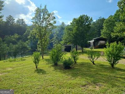 369 Timber Blossom Drive, Blairsville GA 30512