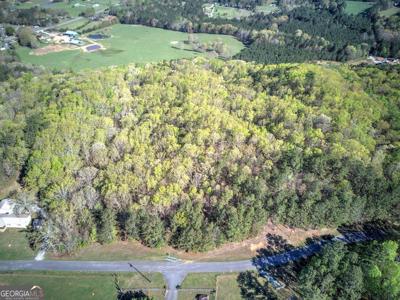 Lot - McKibben Road, Buchanan GA 30113