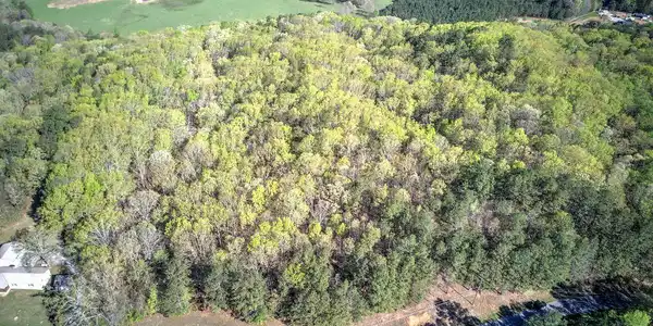 Lot - McKibben Road, Buchanan GA 30113