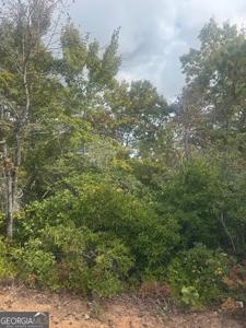 Lot 16 Brown Hawk Drive, Clayton GA 30525