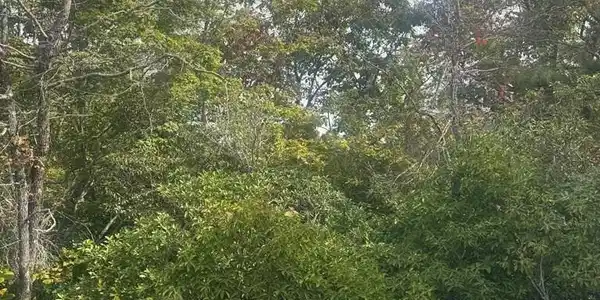 Lot 16 Brown Hawk Drive, Clayton GA 30525