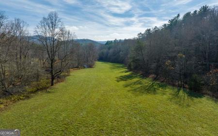 228 Holly Branch Drive, Ellijay GA 30540