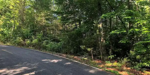 889 Wildcat Drive