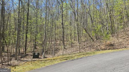 Lot 18 Overlook Loop, Young Harris GA 30582