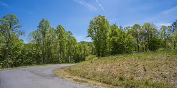 Lot 4-4A Waterstone Way, Mineral Bluff GA 30559
