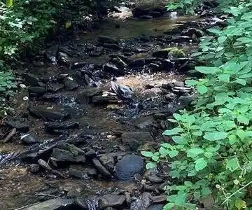 Seven Springs, Jasper GA 30143