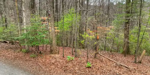 Lot G85,G Ridge View Court, Ellijay GA 30536
