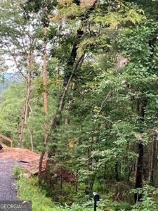 Lot 140 Red Oak Trail # 140, Ellijay GA 30540