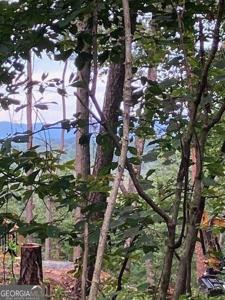 Lot 132 Red Oak Trail # 132, Ellijay GA 30540