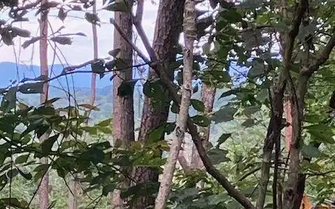 Lot 132 Red Oak Trail # 132, Ellijay GA 30540