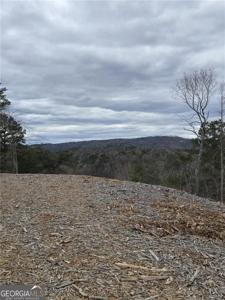 Lot 268 Canoe Way, Talking Rock GA 30175