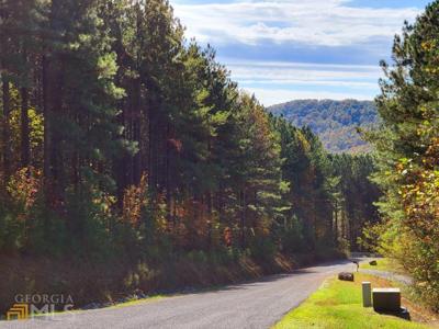 Lot 6 Black Bear Ridge Road # 6, Ellijay GA 30536