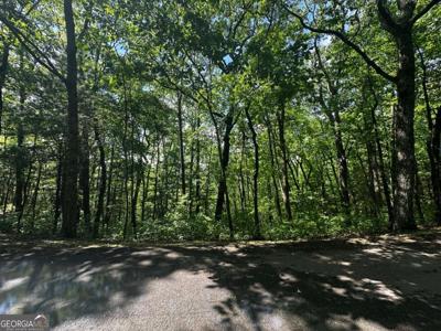 Lot 14 Oceola Drive, Ellijay GA 30540