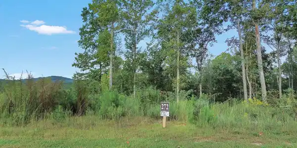 LT 272 Highgrove Drive, Talking Rock GA 30175