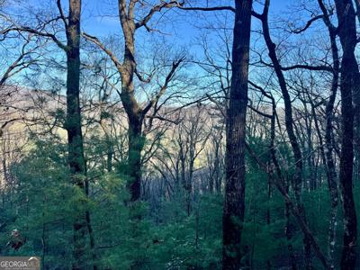 Mule Branch Road, Helen GA 30545