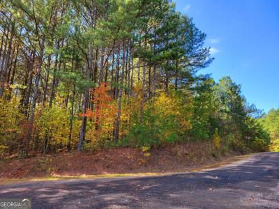 Lot 7 Ridge Top Drive # 7, Ellijay GA 30536