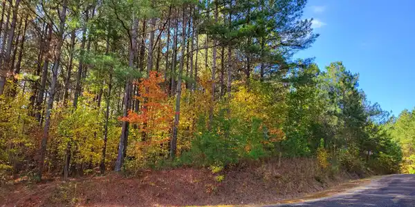 Lot 7 Ridge Top Drive # 7, Ellijay GA 30536