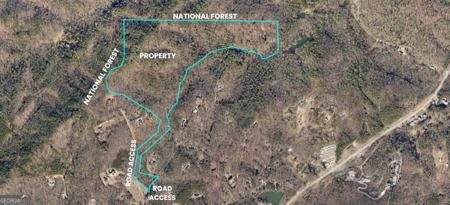 Whippoorwill Lane, Cleveland GA 30528