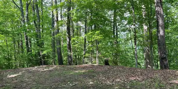 Lot 26 Longview Drive, Hayesville NC 28904