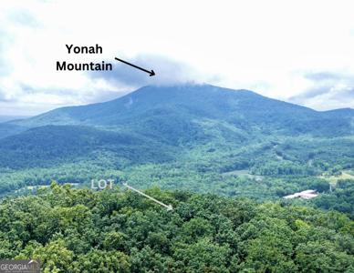 Lot B19 Starlight Drive, Sautee Nacoochee GA 30571