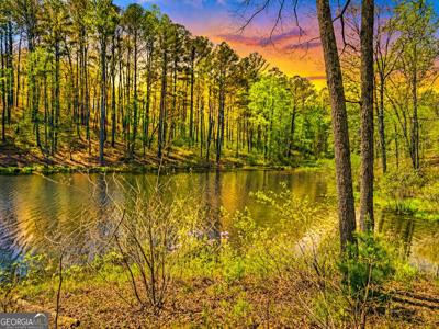 177R Overlook Drive, Ellijay GA 30536