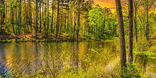 177R Overlook Drive, Ellijay GA 30536