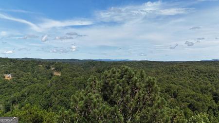 Lot 1710 Rebekah Ridge, Talking Rock GA 30175