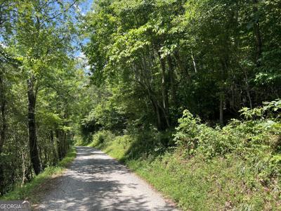 Watkins Rd, Blue Ridge GA 30513