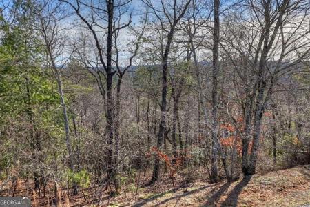 112 Fawn Way, Mineral Bluff GA 30559