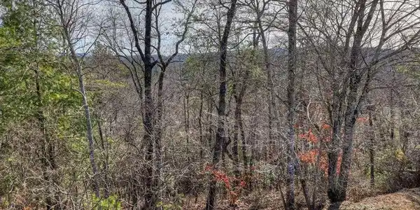 112 Fawn Way, Mineral Bluff GA 30559