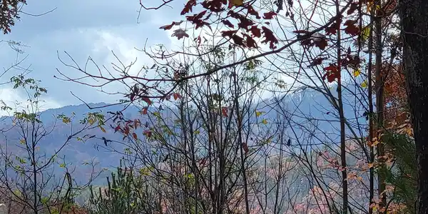 LOT 100 Timber Creek Drive